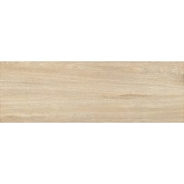   60x20 CANADA matt fagyálló gres padló és falburkoló ZGD 62002